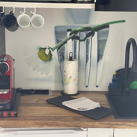 1 Zimmer Appartement In Bad Rothenfelde Εξωτερικό φωτογραφία